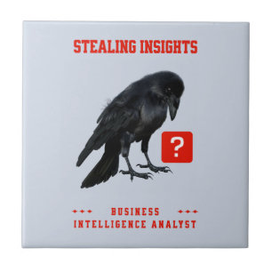 Business Intelligence-analist Crow Tegeltje
