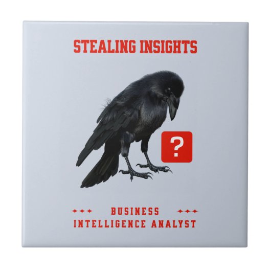 Business Intelligence-analist Crow Tegeltje (Voorkant)