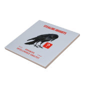 Business Intelligence-analist Crow Tegeltje (Zijkant)