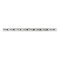 Business Logo Ribbon
