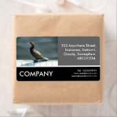 Business Photo - Cormorant Etiket (Insitu)