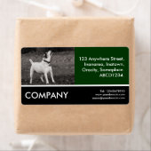 Business Photo - Dog Agog Etiket (Insitu)