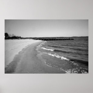 Buskruit Beach Print Zwart-wit