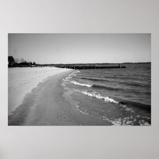 Buskruit Beach Print Zwart-wit (Voorkant)