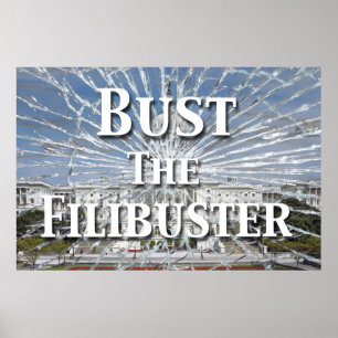 Bust de Filibuster Poster