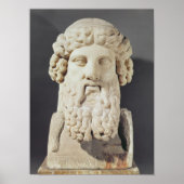 Bust of Plato Poster (Voorkant)