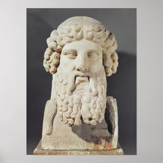 Bust of Plato Poster (Voorkant)