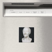 Bust of Voltaire zonder zijn pruik, 1778 Magneet (Insitu (Vaatwasser))