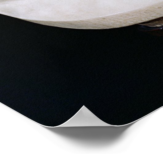 Bust of Voltaire zonder zijn pruik, 1778 Poster (Hoek)