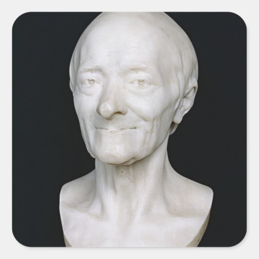 Bust of Voltaire zonder zijn pruik, 1778 Vierkante Sticker (Voorkant)