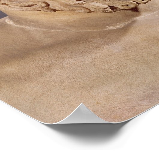 Bust van Aeschylus Poster (Hoek)