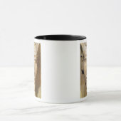 Bust van Amenophis IV van de tempel van Amun Mok (Midden)