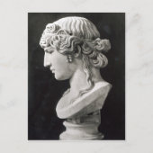 Bust van Antinous genaamd 'Antinous Mondragone' Briefkaart (Voorkant)