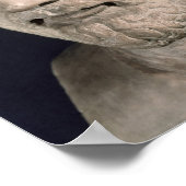Bust van Demosthenes Poster (Hoek)