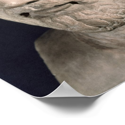 Bust van Demosthenes Poster (Hoek)