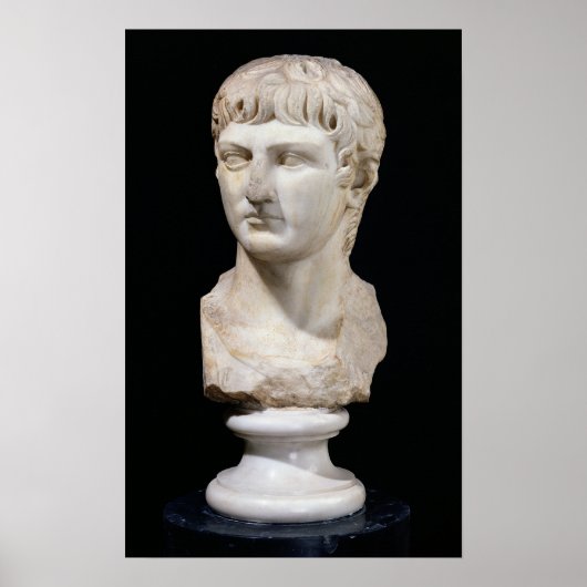 Bust van Germanicus Poster (Voorkant)
