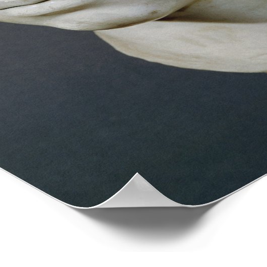 Bust van Heliogabalus Poster (Hoek)