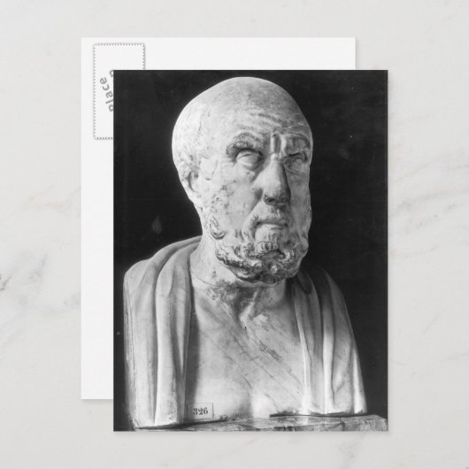 Bust van Hippocrates Briefkaart (Voorkant / Achterkant)