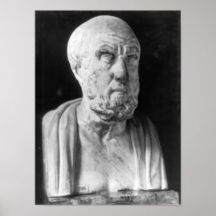 Bust van Hippocrates Poster