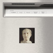 Bust van Julius Caesar 2 Magneet (Insitu (Vaatwasser))