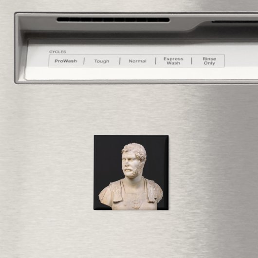 Bust van keizer Hadrian op Kreta Magneet (Insitu (Vaatwasser))