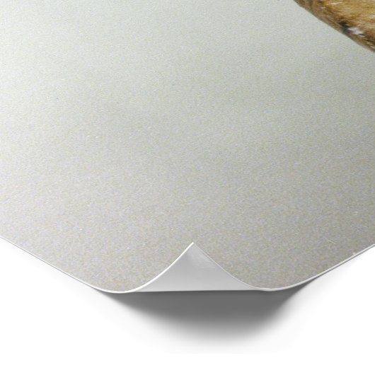 Bust van Koningin Nefertiti, zijdelings uitzicht,  Poster (Hoek)