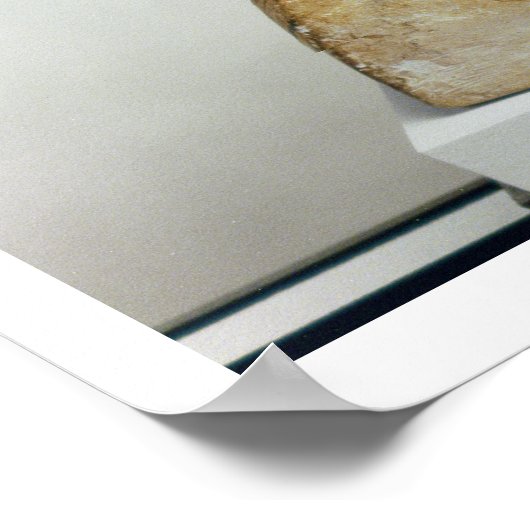 Bust van Koningin Nefertiti, zijdelings uitzicht,  Poster (Hoek)