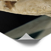 Bust van Lysias Poster (Hoek)