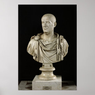 Bust van Marcus Claudius Tacitus Poster