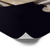 Bust van Marcus Cocceius Nerva Poster (Hoek)