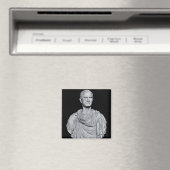 Bust van Marcus Licinius Crassus Magneet (Insitu (Vaatwasser))