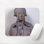Bust van Marie Jean Antoine Nicolas Muismat (Met muis)