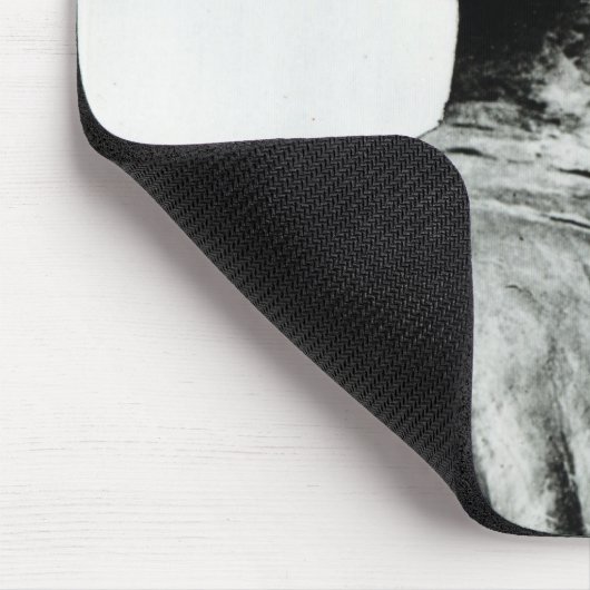 Bust van Niccolo Machiavelli Muismat (Hoek)