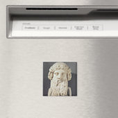 Bust van Plato Magneet (Insitu (Vaatwasser))