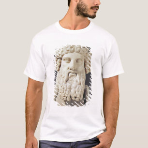 Bust van Plato T-shirt