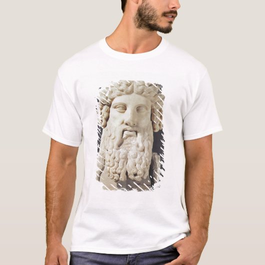 Bust van Plato T-shirt (Voorkant)