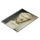 Bust van Pompey (106-48 BC) c.60 BC (marmer) Notitieboek (Linkerzijde)