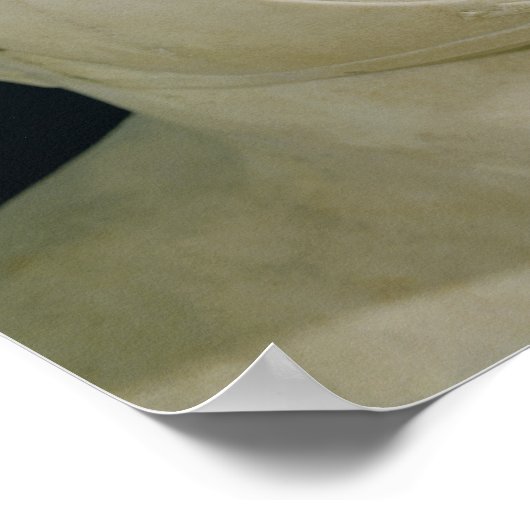 Bust van Pyrhus Poster (Hoek)