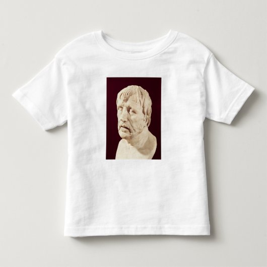Bust van Seneca Kinder Shirts (Voorkant)