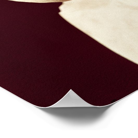 Bust van Seneca Poster (Hoek)