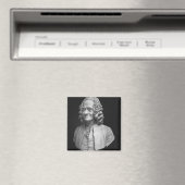 Bust van Voltaire Magneet (Insitu (Vaatwasser))