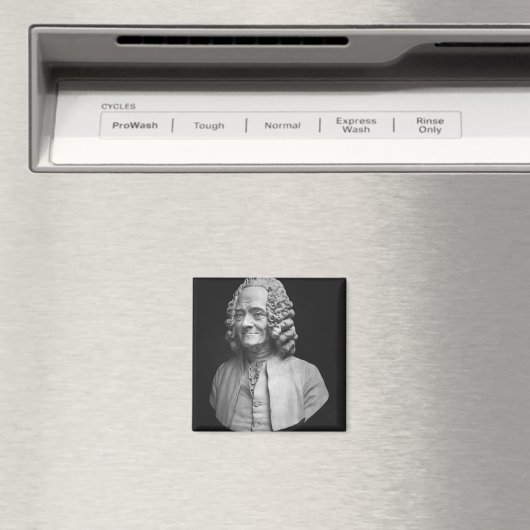 Bust van Voltaire Magneet (Insitu (Vaatwasser))