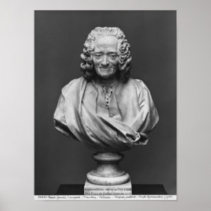 Bust van Voltaire Poster
