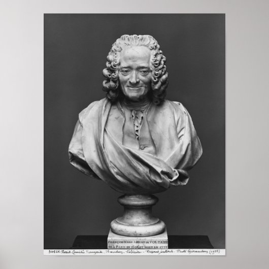 Bust van Voltaire Poster (Voorkant)