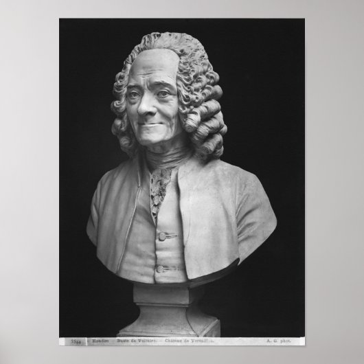 Bust van Voltaire Poster (Voorkant)