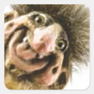 Busta Troll Vierkante Sticker