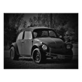 Busted Bug Foto Afdruk (Voorkant)