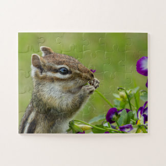 Busted Chipmunk puzzle Legpuzzel