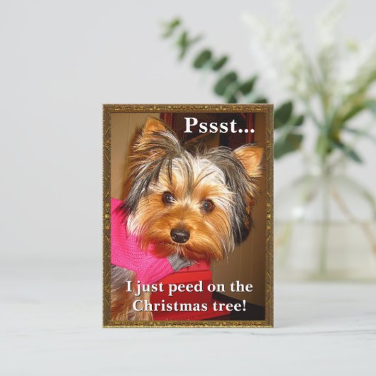 Busted Yorkie Feestdagenkaart (Staand voorkant)