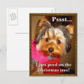 Busted Yorkie Feestdagenkaart (Voorkant / Achterkant)